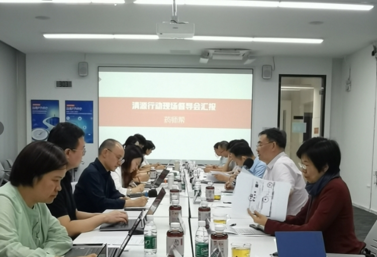 省藥品監管局開展藥品網售平臺專項督導推動“清源”行動落地見效